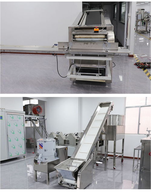 重慶食品加工與健康康復設備 面條生產與物理治療的現代化融合